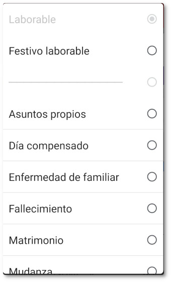 Reloj laboral dia-seleccionado.jpg